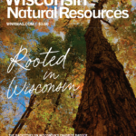 Wisconsin Natural Resources Fall 2023 Magazine Cover - Fall Trees
